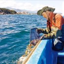 곰섬마을 이미지