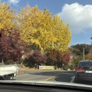 경산IC카 | 블챌 일기쓰기#8