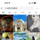 와이앤씨 네이버블로그