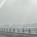 수남 명동칼국수 | 2월 백수 일상