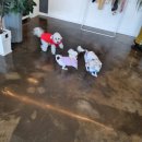 딩딩이발소 이미지