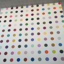 적십자약국 | 2026.04.02(목) 데이미언허스트 2회차 (지극히 주관적)