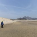 푸른언덕파도
