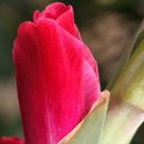 참아름 5단지 이미지