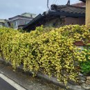 칠원전통시장 이미지