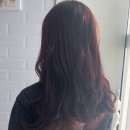 보현미장원 | 청주 가경동 미용실 골목미장원 가경비하점 퍼플블랙 염색 후기