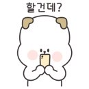 닥터페이퍼