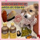 무인39 | 건대 24시간 무인카페 밍글 건대화양점 늦은밤 카공하기좋은 편의점간식 애견동반 내돈내산 후기