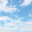 달물인연 이미지