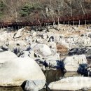 태봉농장1 이미지