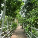 한밭대로 이미지