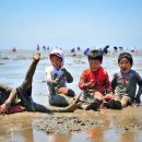 고창바지락칼국수 이미지