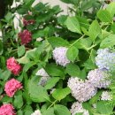 김순심진곰탕 이미지