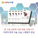 이슈토론논술