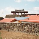 조천리금대 이미지