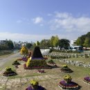 국화정원 | 2025 유성국화축제 후기 🌼 낮에도 충분히 예뻤던 국화정원 솔직 후기