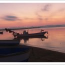 강골민박 이미지