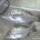 서고지민박 이미지