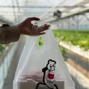 맹방관광지 이미지