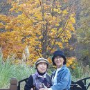 정다운가든 이미지