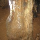 바보온달 이미지