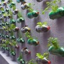 도시농장 이미지