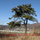 약수 낚시터 이미지