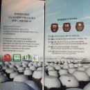 창하된장
