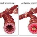 청진약품 이미지