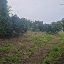 남원읍-69 이미지