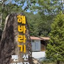 해바라기 애견 | 문경 쌍용계곡 캠핑장추천 해바라기캠핑장 내돈내산 총정리 (B-13, 애견동반, 방갈로)