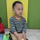 오감- 데구르르 완두콩🫛 이미지