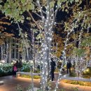 오사카12 - 하루카스 전망대에 올라 오사카 야경을 보다! 이미지