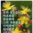 잠원로1-1 이미지