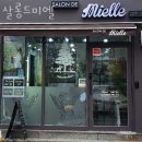 살롱드미엘 | 옥수동미용실 살롱드미엘 가격 위치 영업시간