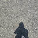 뚜레쥬르대전법동점