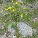 메트로파크부동산중개 이미지