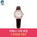 CA008 이미지