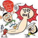 J다이어트복싱체육관