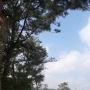 청하초 병설유치원 이미지