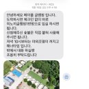 히노끼 | 포천 글램핑 추천｜메이플 글램핑 캠핑장 2호점 프라이빗 히노끼 내돈내산 후기