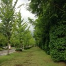 영숙농장 이미지