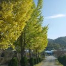 율어면사무소 이미지