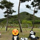 청도신화랑에코트레일 | 경북 청도 아이랑 갈만한 곳 신화랑풍류마을, 스카이트레일 이용 안내