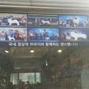 센스펫