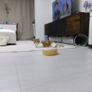 F80 | 후지필름 파인픽스 F80 구매