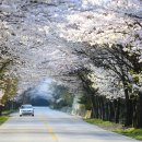 용담가족테마공원2 이미지