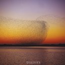 천수만로 이미지