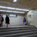 진리(JINLY)트레이너 엔터테인먼트 이미지