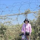 선해식당 | 20260413~15 제주여행2day(우도 유채꽃&amp;비양도)